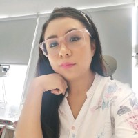 Nayeli Lopez Castelan