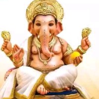 Meena. G