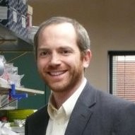 Robert Stupar