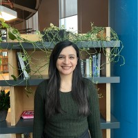 Pınar Işık