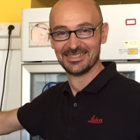 Edoardo Antonellini