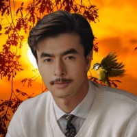أنس مراد