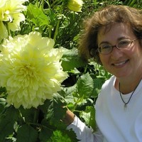 Laverne Bohlin