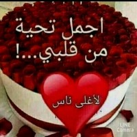 Mostafa Daoidi