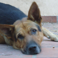 María Esther Recabarren