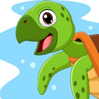Graphic Turtle