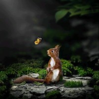 Santhosh P