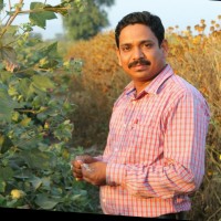 Prashant Pise