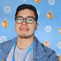 Brayan Quiroga Pulido