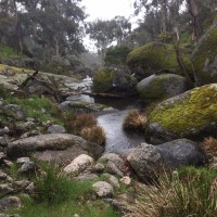 Seymour Urban Landcare
