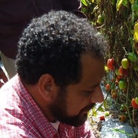 Alejandro Ramos Villasana