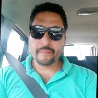 luis núñez martínez