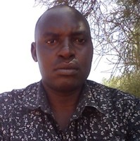 francis kingoo