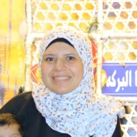 Samar Abdel Aziz