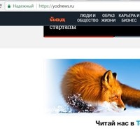 Dimon Shvec