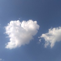 尉淑伟
