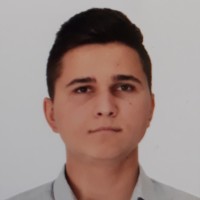 Ionut Daniel Zoican