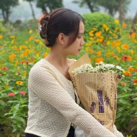 Ngô Mai Sao