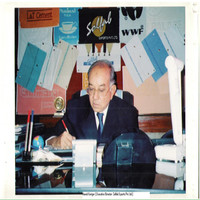 Hamid Karigar