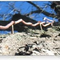 Prevetec Serviços consultoria e serviços