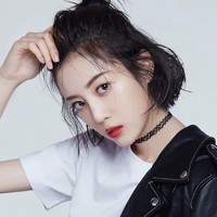 翟文静