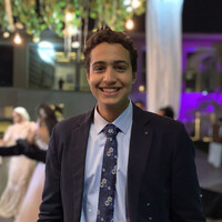 Hazem Hossam Hassan