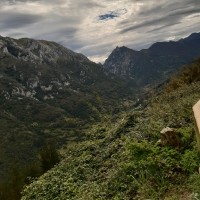 Crecencia Leguizamon