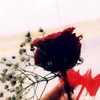 أحمد الشهابي