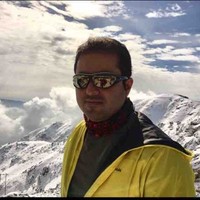 Mostafa Hamidi