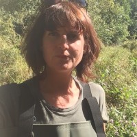 Anna Tarbet