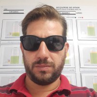 Bruno Pulitini