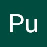 Pu J