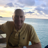 Larry Bronstein