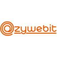 web developer