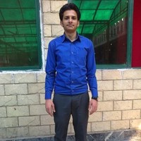 wajid hussain