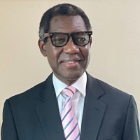 Femi Dosumu
