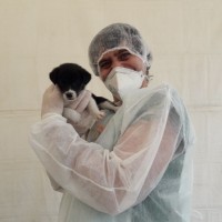 Gil De Freitas Pereira