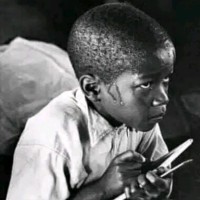 Gdo mahsi