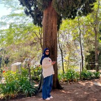 Fairouz Omies