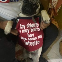 Saul Hurtado