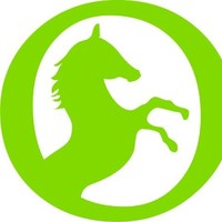 Stallion Enterprise