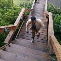 Diop Alpha