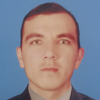 Syed Muhammad Hussain Shah