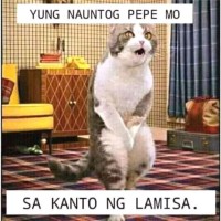 Rhegan Macaba