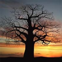 Анатолий Гузеев