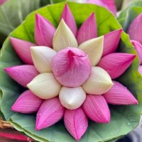 S. Venubala. Ukg A Venu