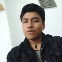Rogger Gonzales Cayle