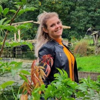 Sanne Mol