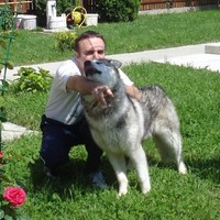 Catalin Nitulescu