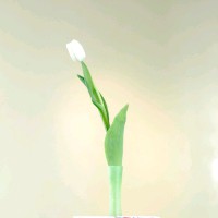 朱慧明